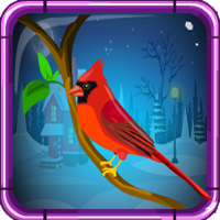 Games4escape Red Cardinal Rescue Walkthrough